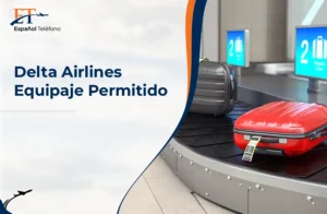 Delta Airlines Equipaje Permitido