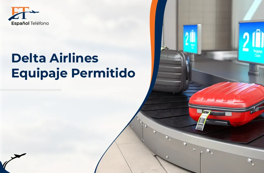 Delta Airlines Equipaje Permitido